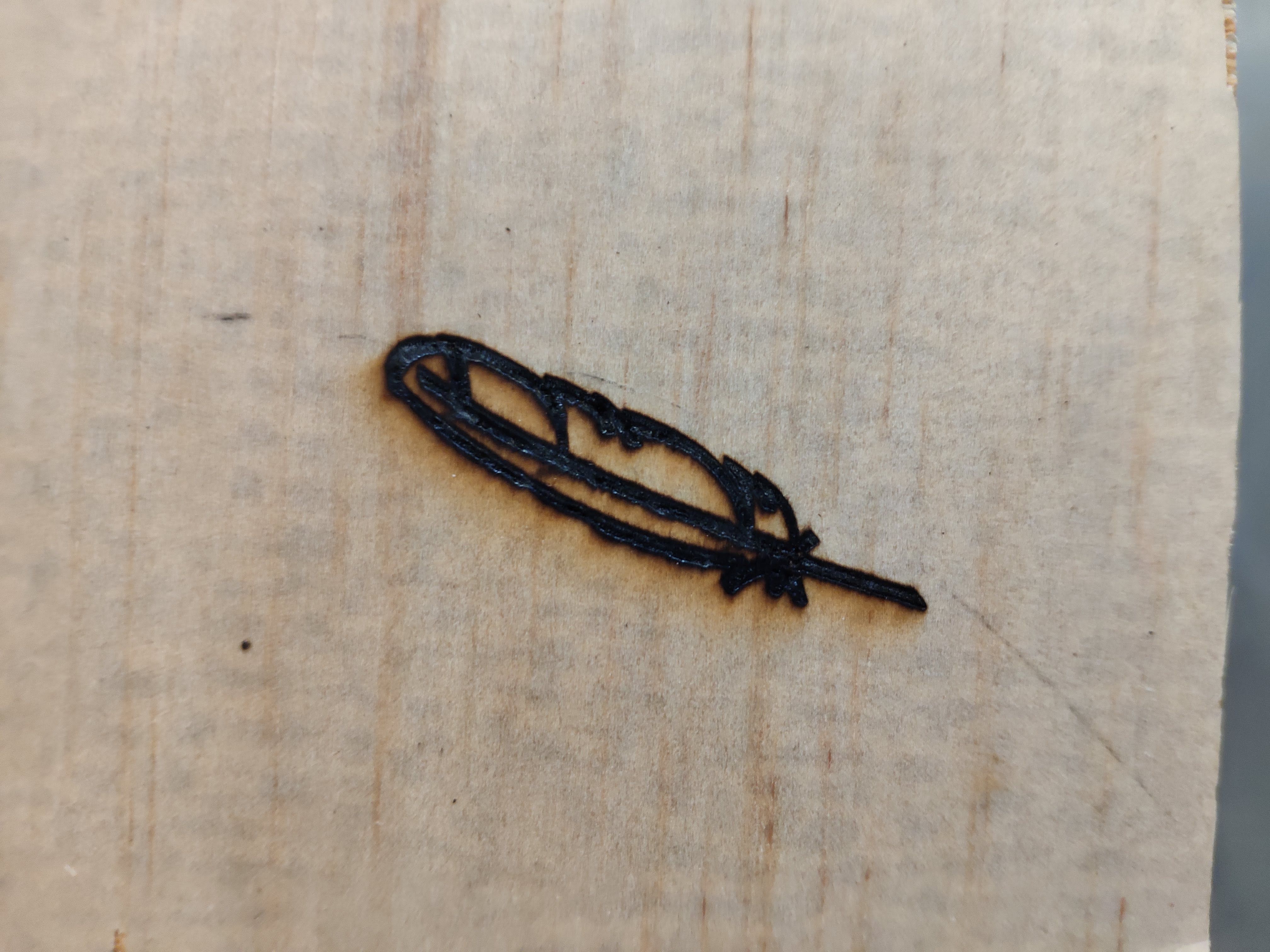 feather